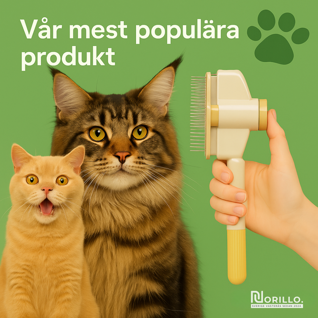 Norillo™ – Kattborsten som stoppar fällning och håller hemmet rent