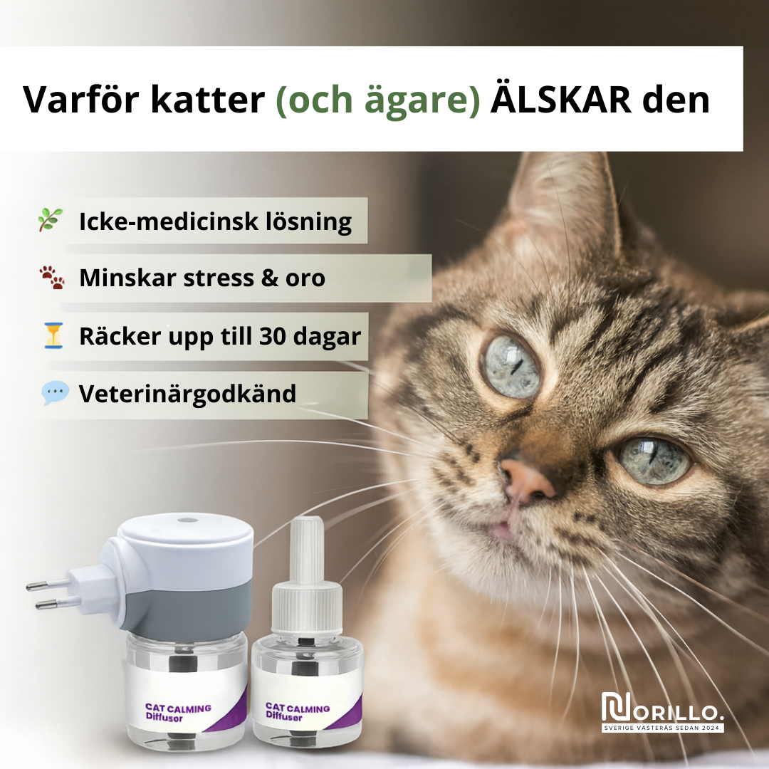 Norillo™ – Doftdiffusor Som Stoppar Kattens Kiss- & Klösproblem