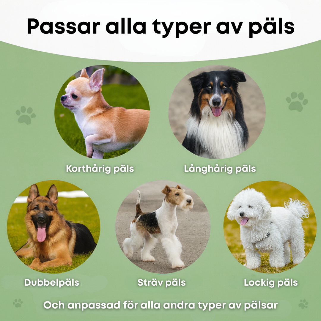 Norillo™ – Hundborste som stoppar fällning och håller hemmet rent