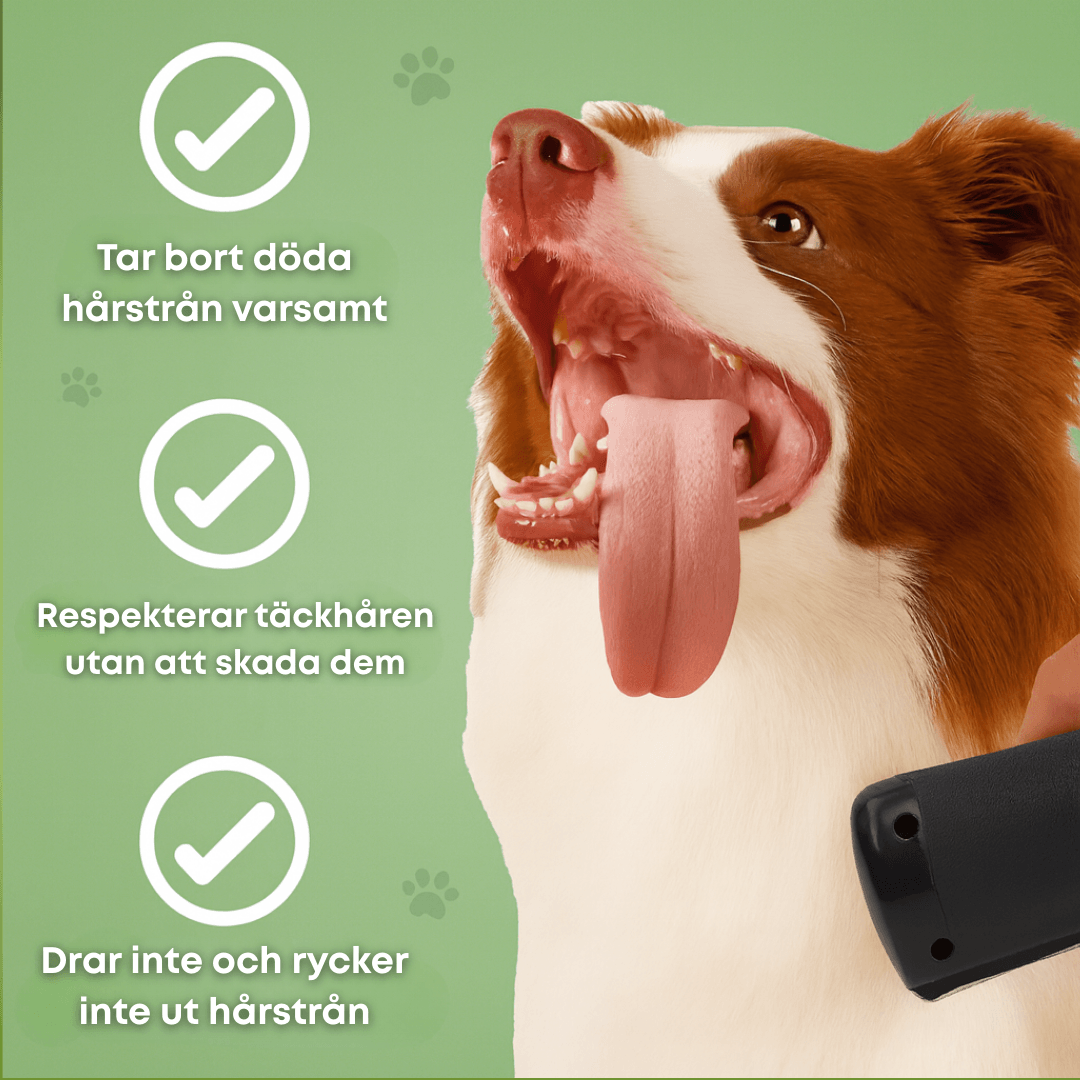 Norillo™ – Hundborste som stoppar fällning och håller hemmet rent
