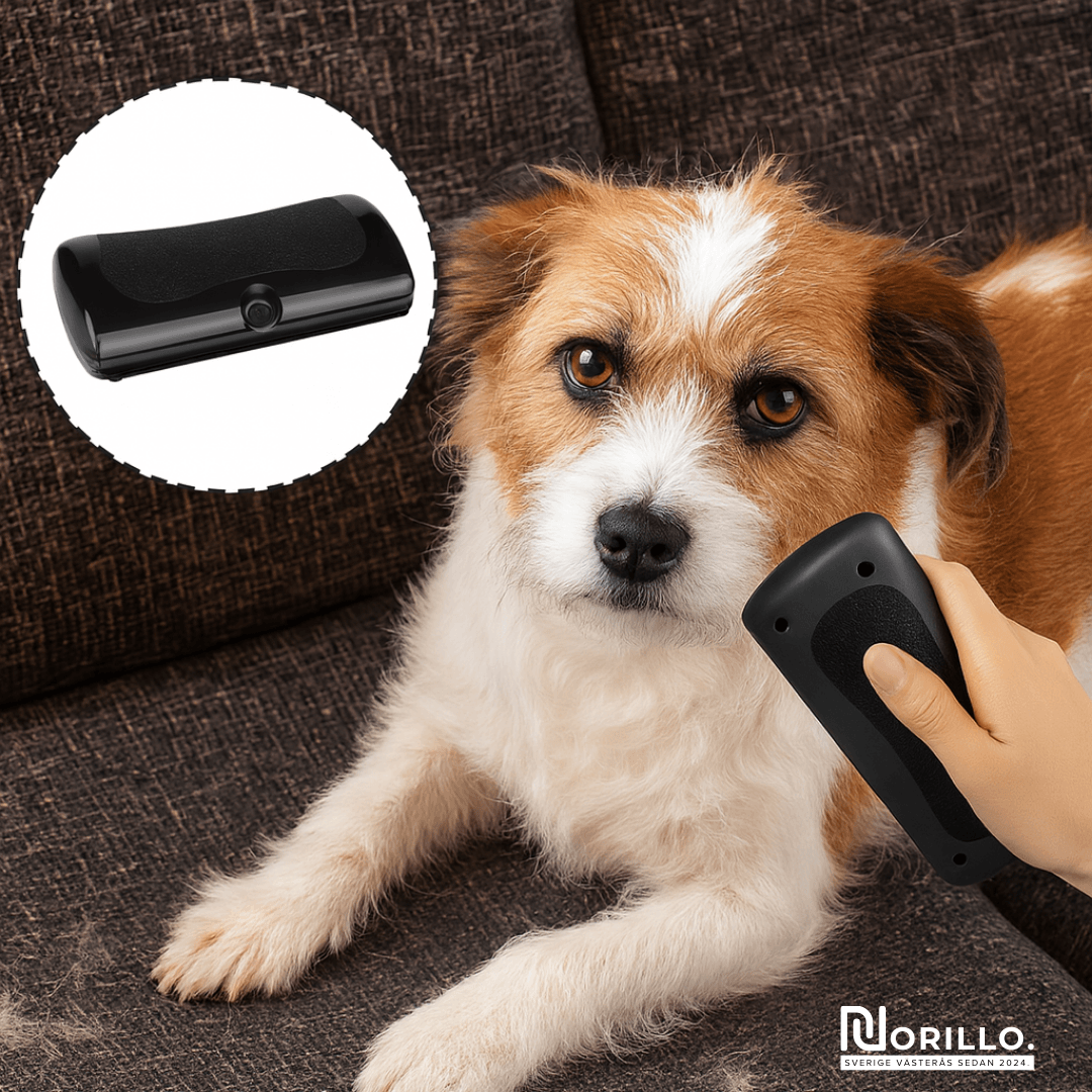 Norillo™ – Hundborste som stoppar fällning och håller hemmet rent