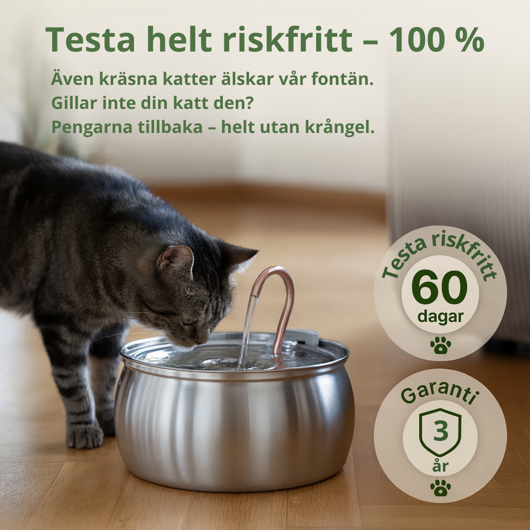 Norillo™ – Kattfontän i rostfritt stål som förebygger urinvägsproblem