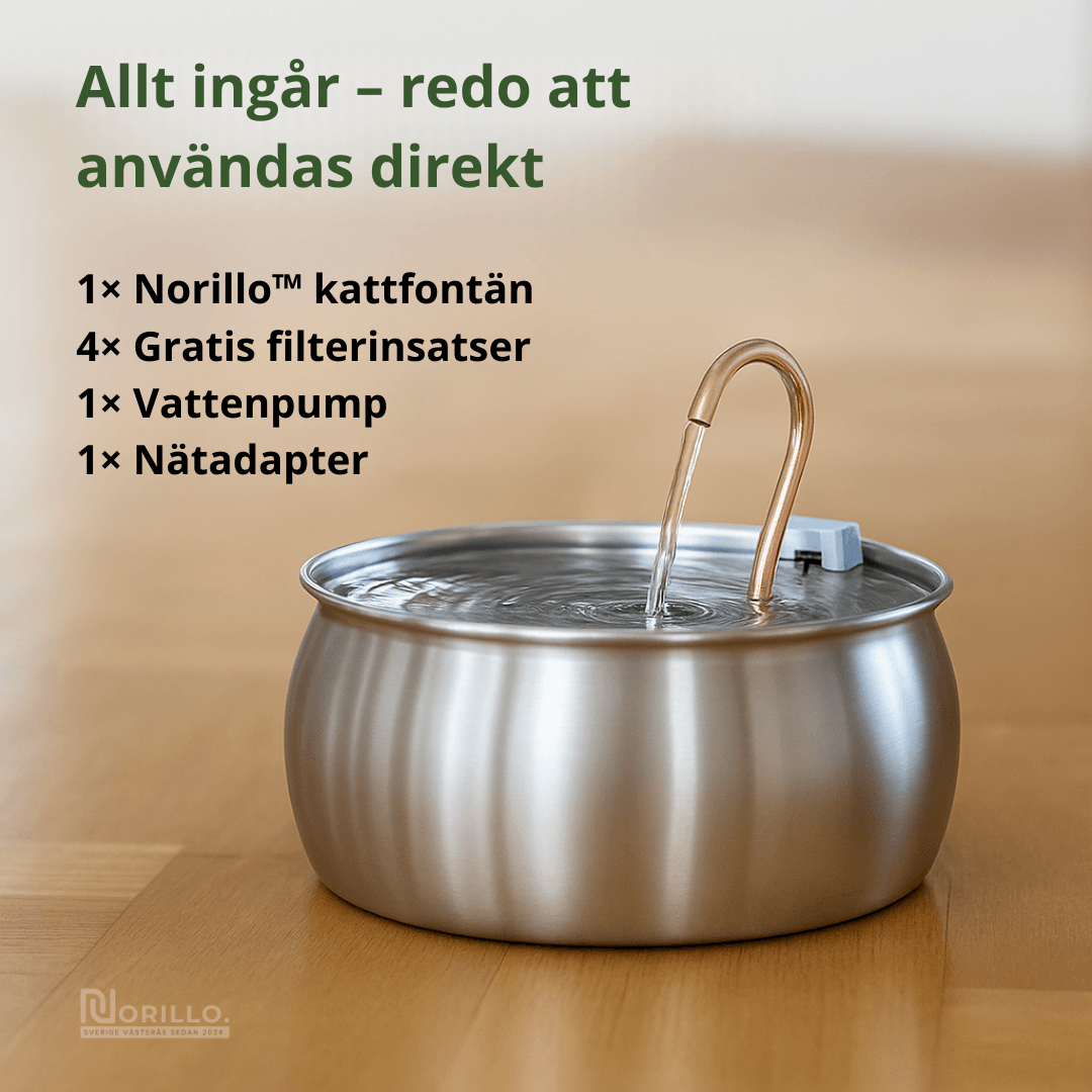 Norillo™ – Kattfontän i rostfritt stål som förebygger urinvägsproblem