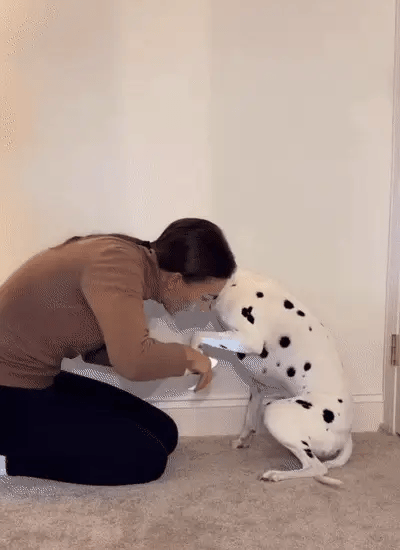 Norillo™ – 2-i-1 Klotång med LED-ljus som förhindrar sprickor