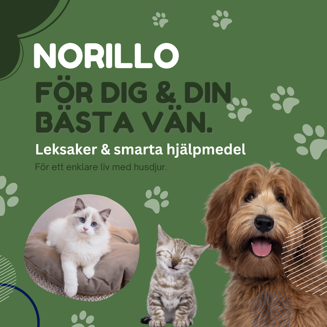 Husdjursprodukter