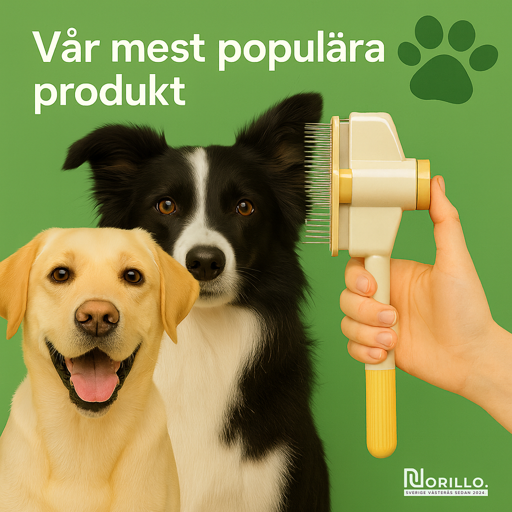 Norillo™ – Hundborsten som stoppar fällning och håller hemmet rent