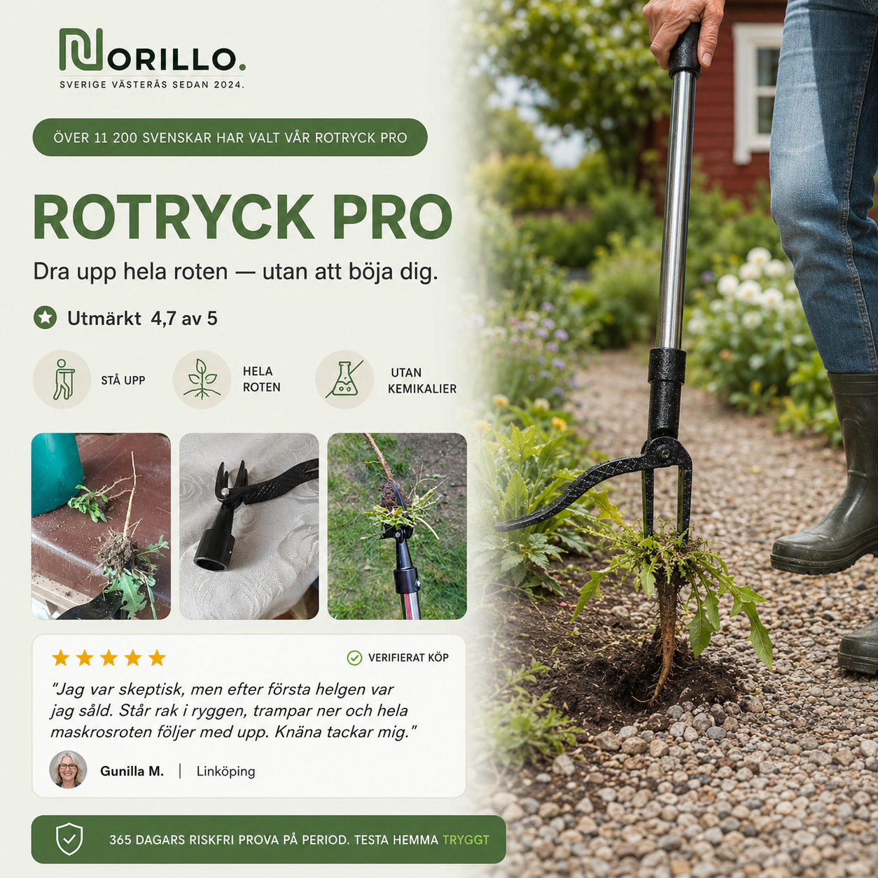 Norillo® – RotRyck Pro – Dra upp ogräset med roten utan att böja dig