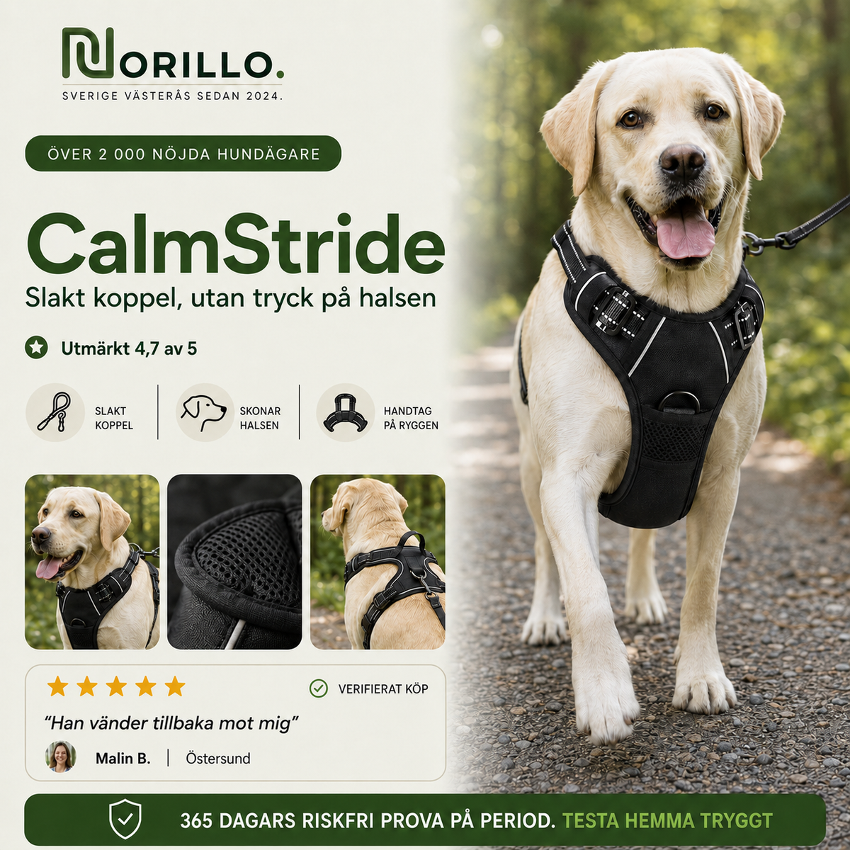 Norillo® – CalmStride – Hundsele med frontfäste för lugnare promenader