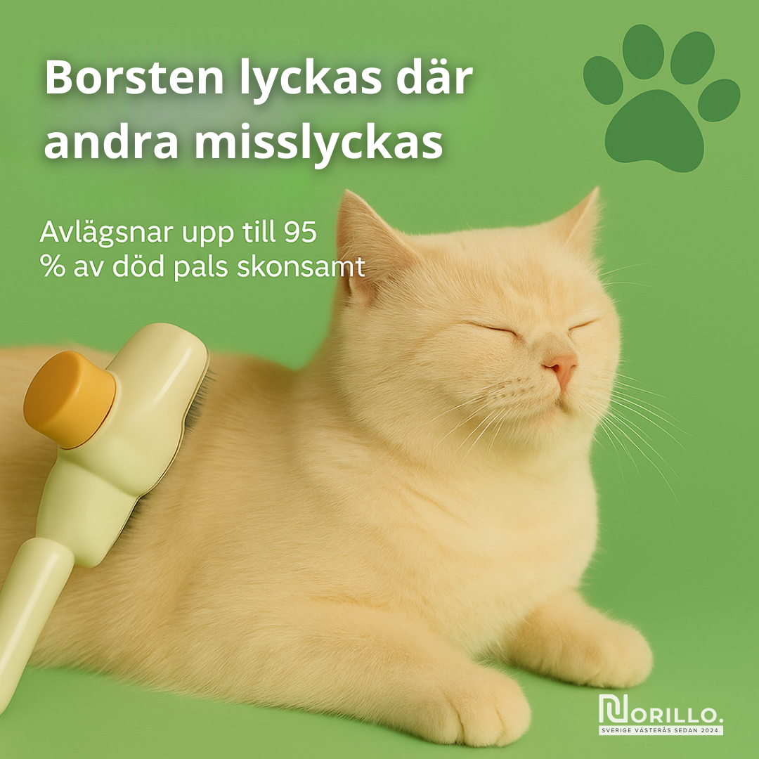 Norillo™ – Kattborsten som stoppar fällning och håller hemmet rent