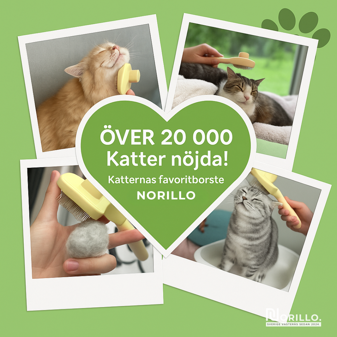 Norillo™ – Kattborsten som stoppar fällning och håller hemmet rent