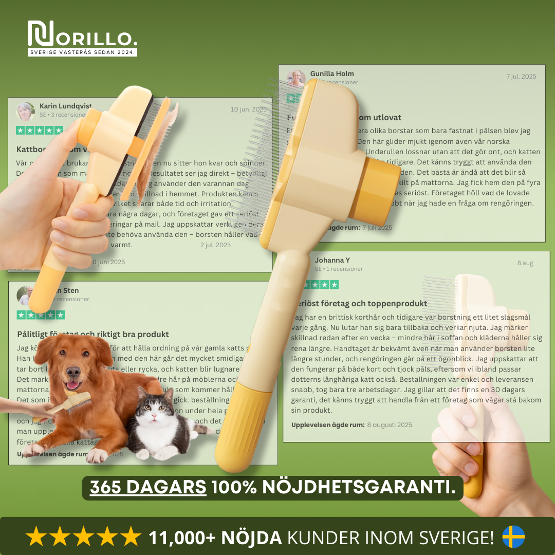 Norillo™ – Kattborsten som stoppar fällning och håller hemmet rent