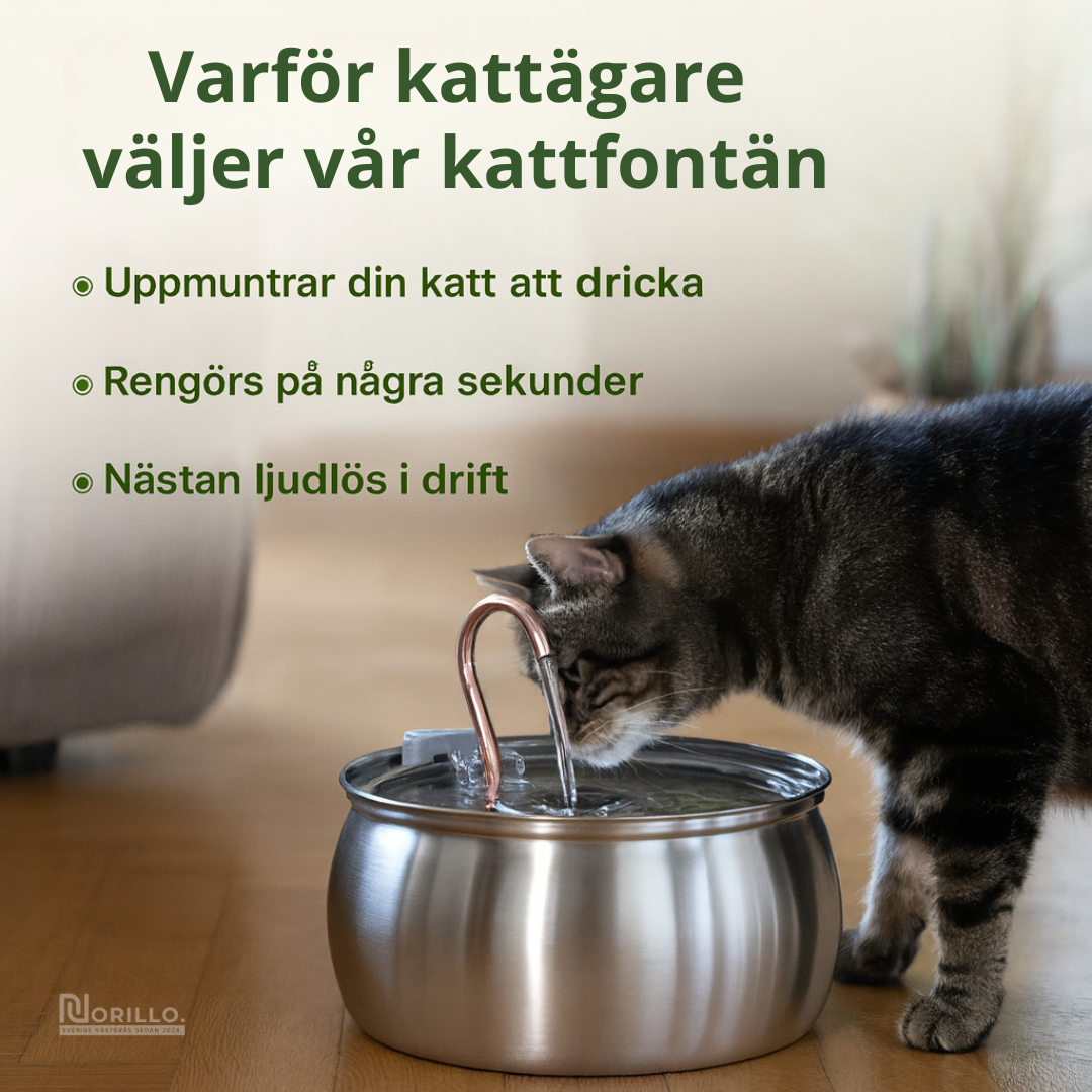 Norillo™ – Kattfontän i rostfritt stål som förebygger urinvägsproblem